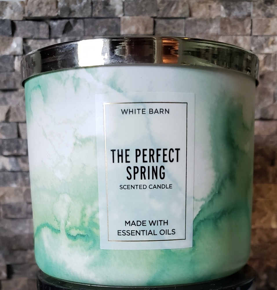 2 Bath & Body Works candles **BRAND NEW**